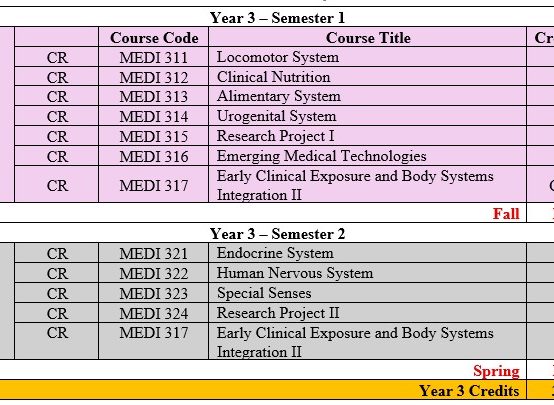 MD-Year-3